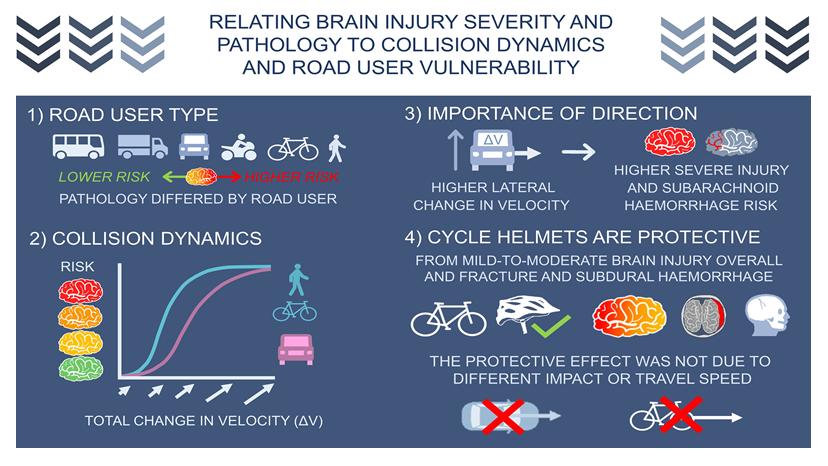 TRL | The link between collision dynamics and brain injury in road ...